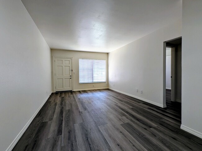 141 E. Davis Blvd #105 - Davis Islands Apartments