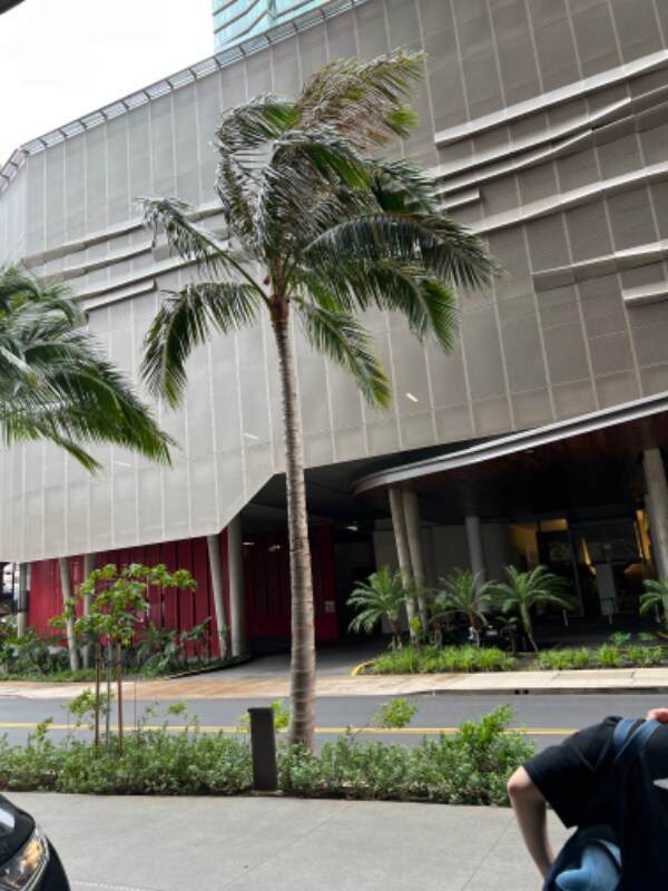 Foto del edificio - 1001 Queen St