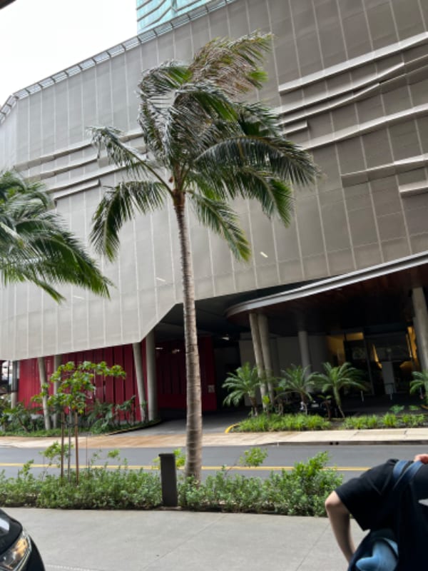 Building Photo - 1001 Queen St