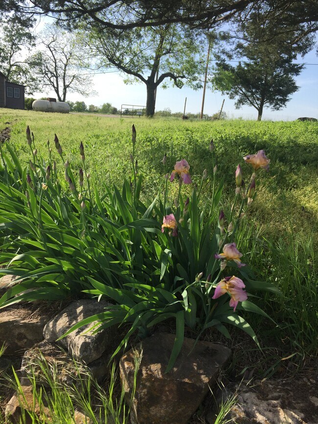 Foto del edificio - 5510 State Hwy J