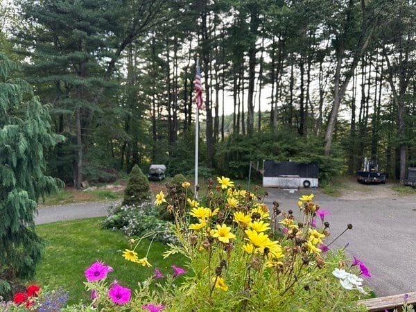 Foto del edificio - 241 South St