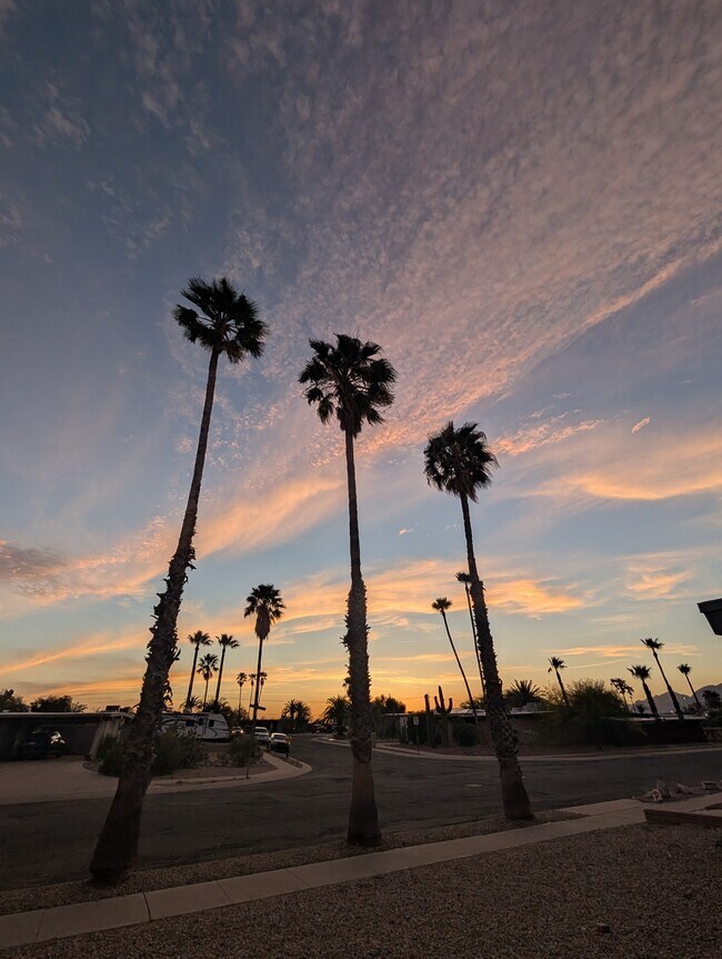 Foto del edificio - 1810 N Heatherbrae Ave