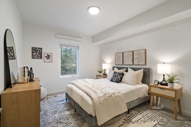 Los apartamentos Oliveen — foto comunitaria - The Oliveen