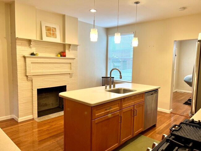 Amazing light-filled kitchen - 246 Swope St