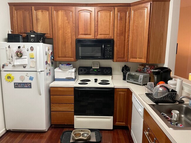 Building Photo - 1597 Homeland Dr
