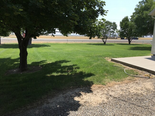 Mature well kept yard - 2395 E 3000 N