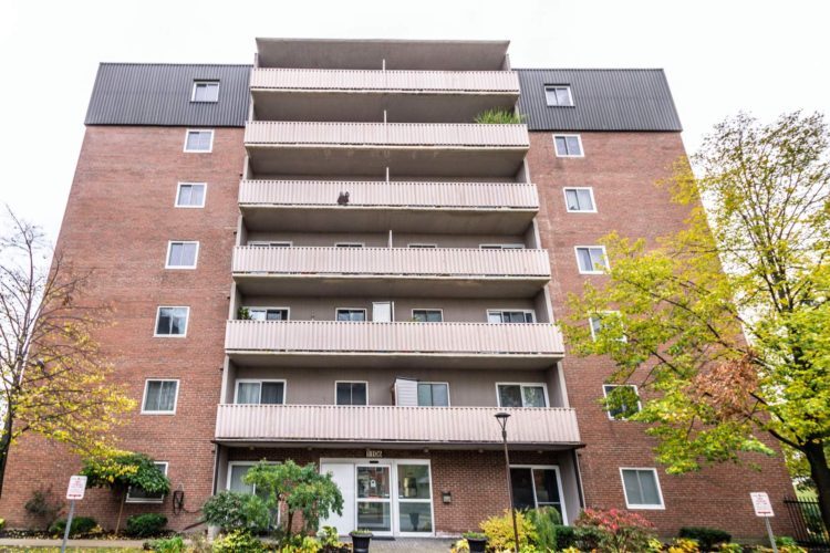 Primary Photo - 2 Bedroom Apartment for Rent! White Oaks *...