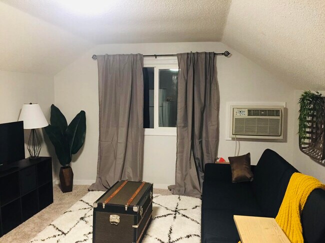 Living room, air conditioning - 223 10th Ave SE