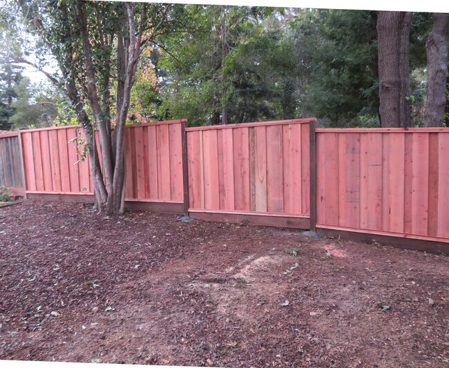 Fenced Back yard - 39 Montgomery St