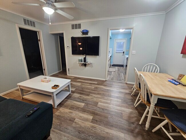 Televisor grande con dispositivo ROKU - Quiet Furnished 1BR Near EMU, U-M & Hospitals