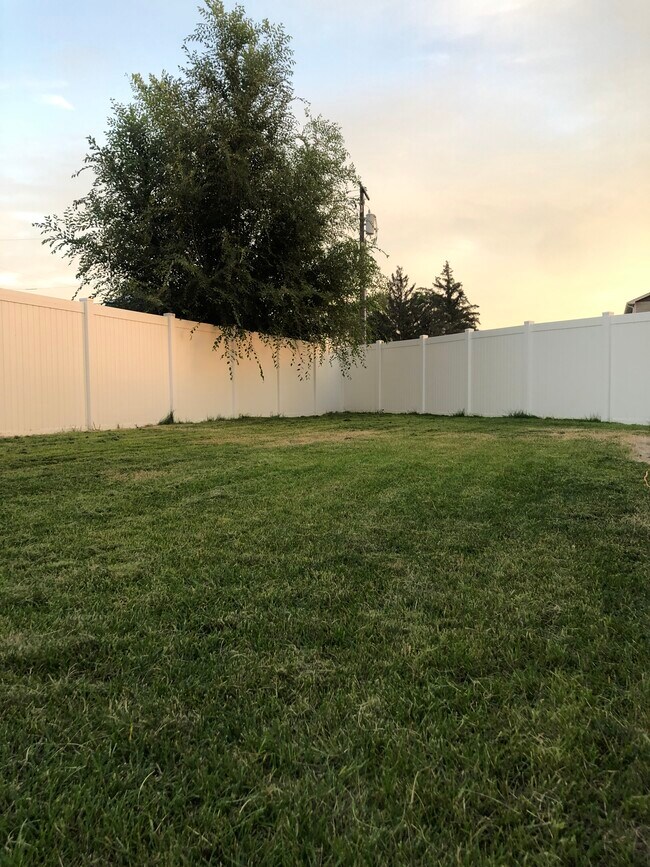 Back yard - 711 N 29th Ave