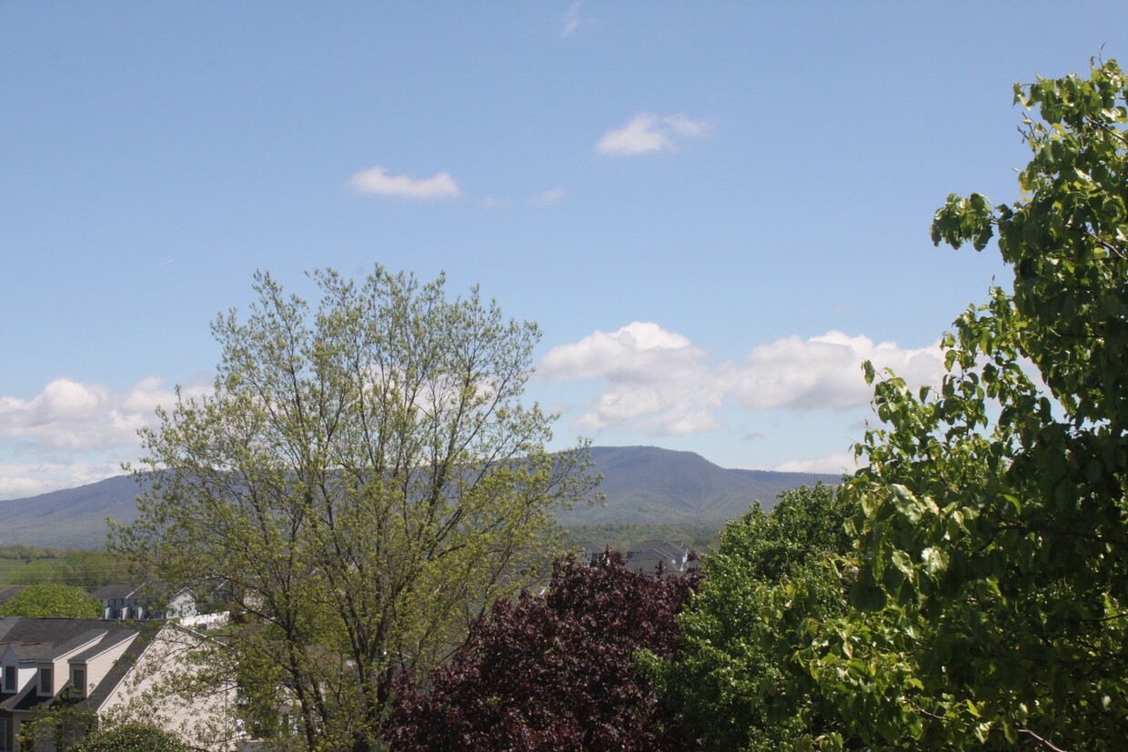 Primary Photo - Remodeled Condo with amazing Mountain View...