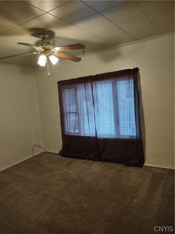 Foto del edificio - 115 Berkshire Ave