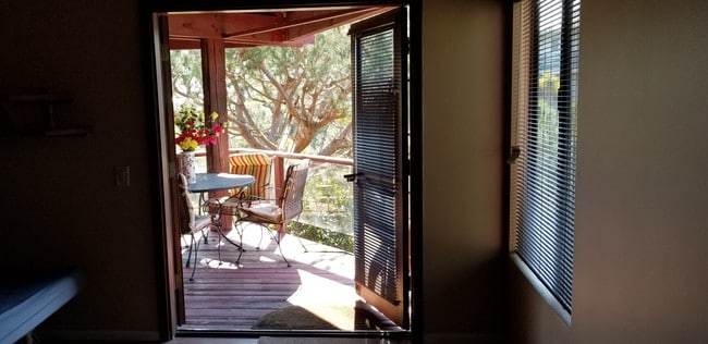 Private patio - 237 W Avenida Alessandro
