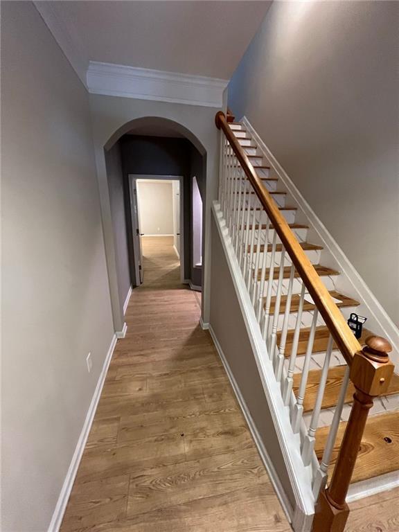 Foto del edificio - 821 Tulip Poplar Way