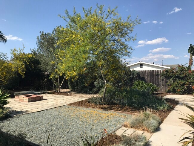 Backyard garden - 3112 Idlewild Way