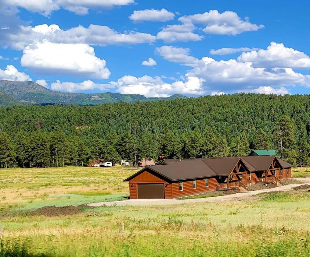 401 Alpine Dr, Pagosa Springs, CO 81147 House Rental in Pagosa