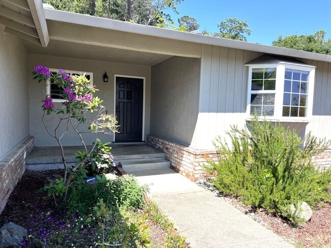 Building Photo - Terra Linda Home