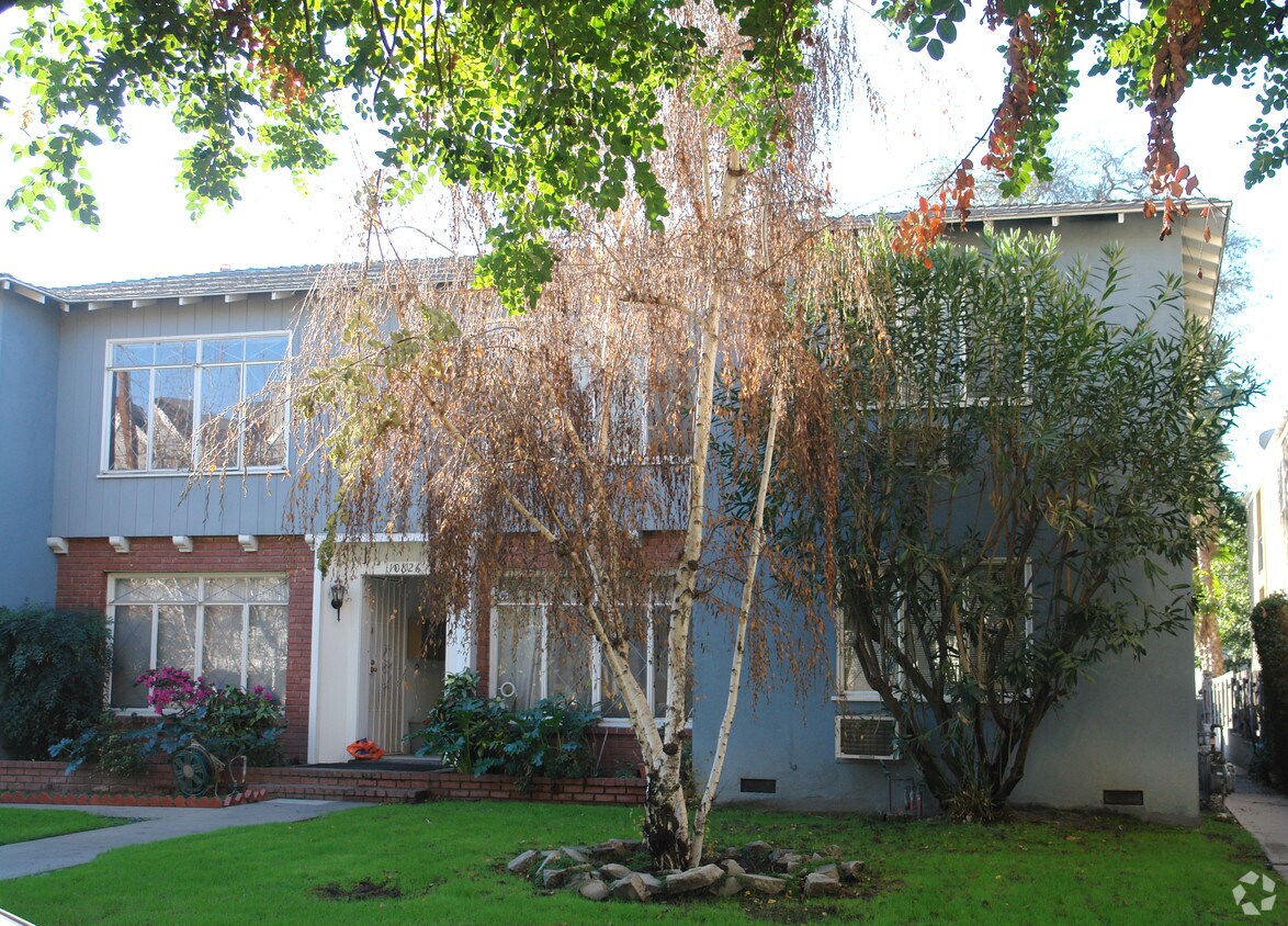 large tree on sidewalk. This is the clearest shot of the building from this angle. - 10824 Blix St