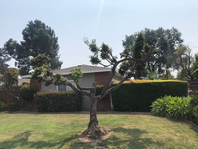 Foto del edificio - Sunnyvale Home Coming Soon in Cupertino Sc...
