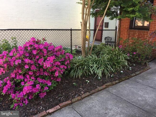 Foto del edificio - 202 S Washington St