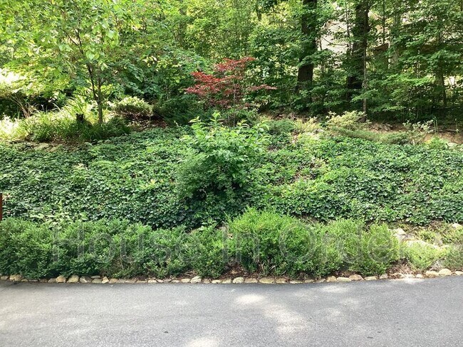 Building Photo - 329 Moutain Laurel