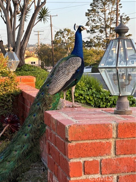 Foto del edificio - 28068 Braidwood Dr