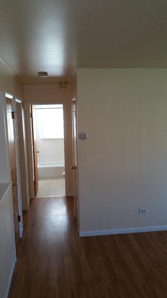 Hallway - 4147 Lindenwood Dr