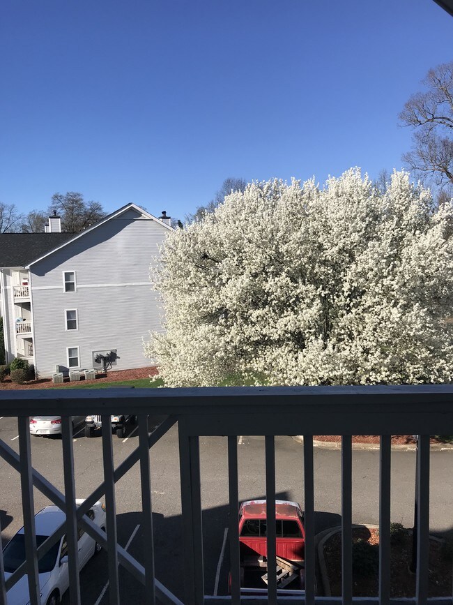 Catawba Apartments Apartments Belmont, NC