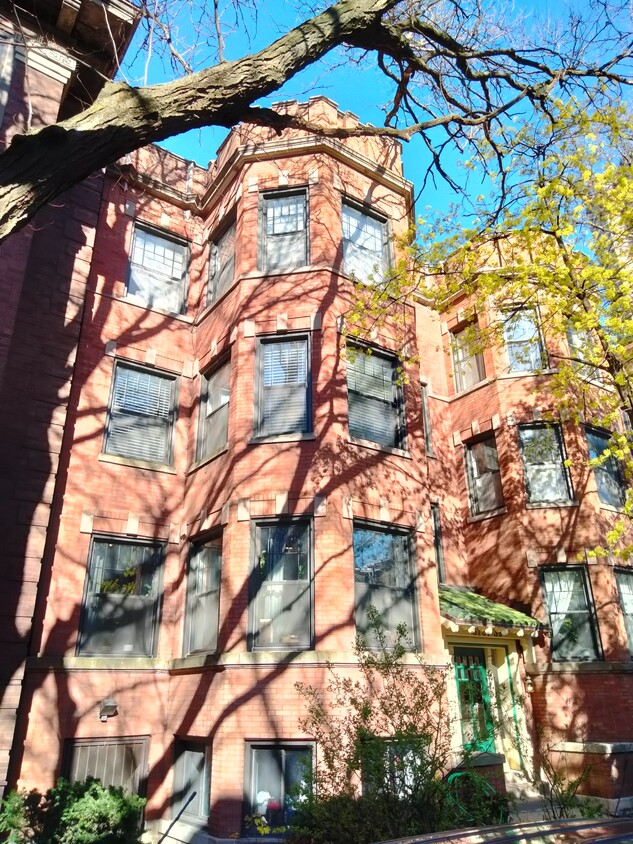 Primary Photo - 3739 N Pine Grove Ave