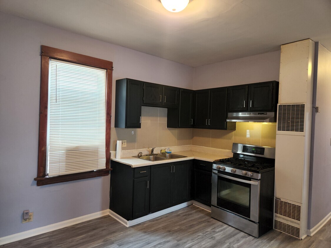 4539 S Albany Ave, Chicago, IL 60632 Townhome Rentals in Chicago IL