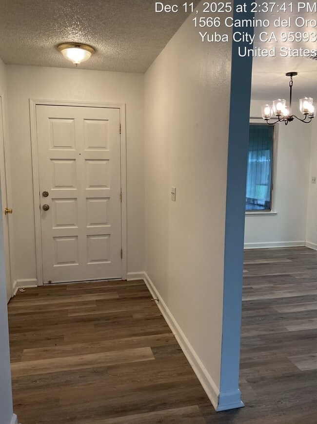 Building Photo - Room to Relax — Spacious 3-Bedroom Home with a Big Backyard