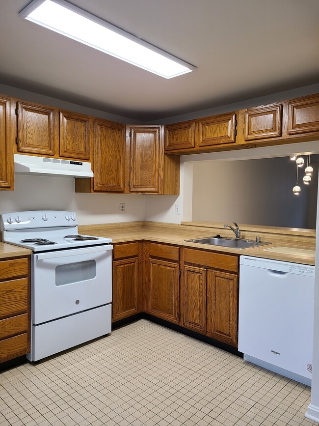 Kitchen - view 1 - 1207 Brice Sq