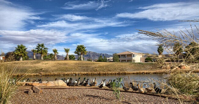 Building Photo - 6030 Laguna Vista Dr