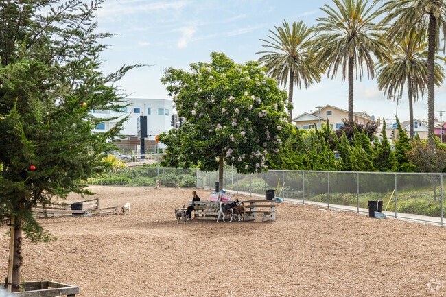 Take your dog to run at the dog park at Airport Park in Santa Monica.