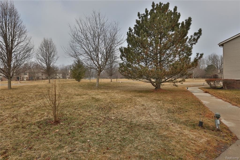 Primary Photo - 10177 Nancys Blvd