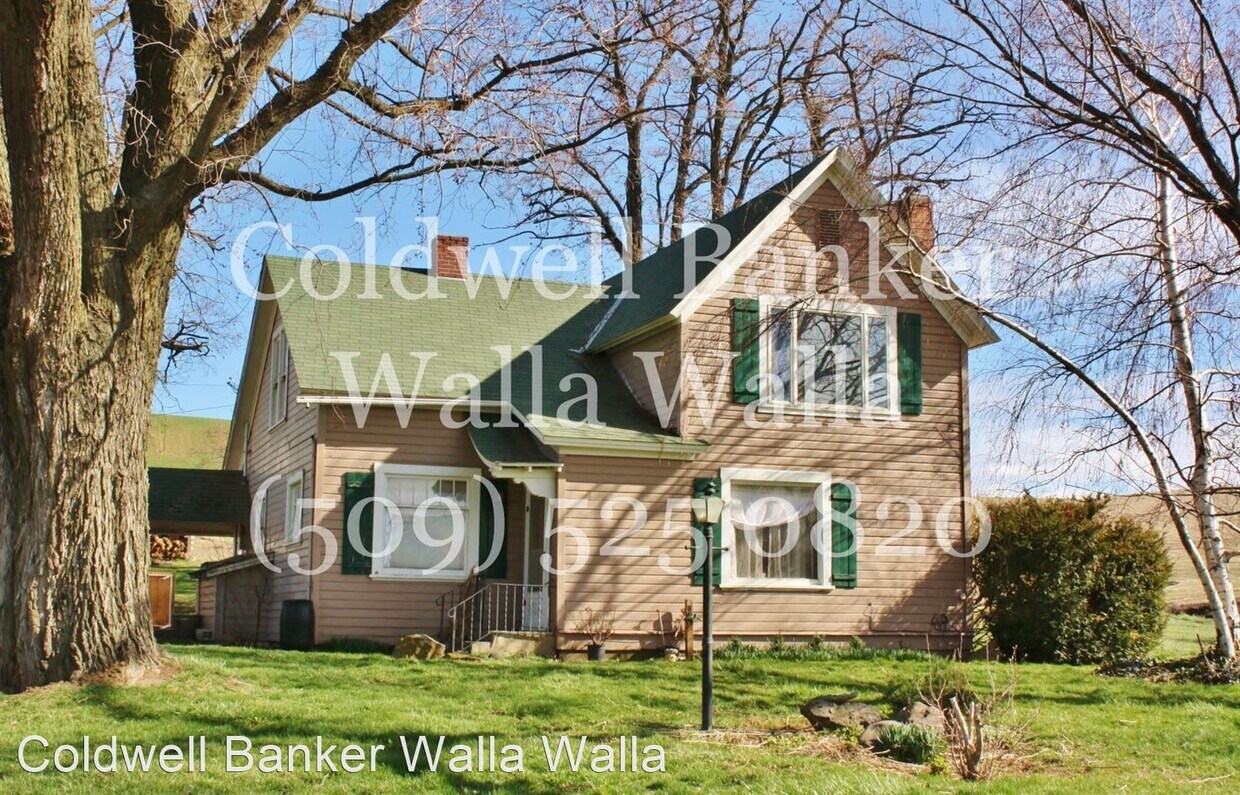 Primary Photo - 3 br, 1 bath House - 2444 Waggoner Rd.