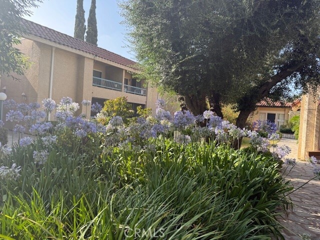 Primary Photo - 18307 Burbank Blvd