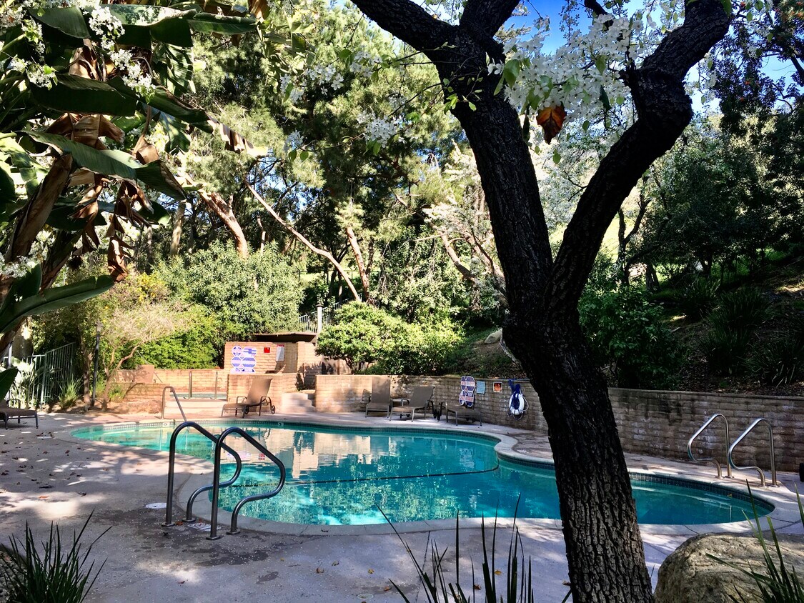 3480 Barham Blvd, Los Angeles, CA 90068 Condo for Rent in Los Angeles