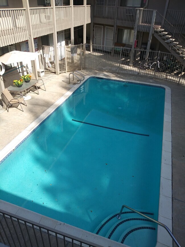 Pool in Courtyard - 25 New York St