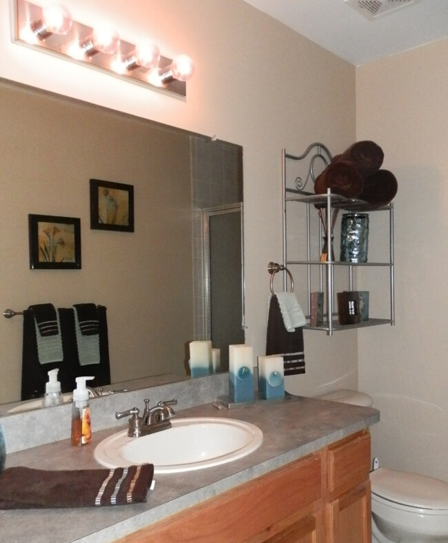 Master bath - 51758 Adler Park Dr W