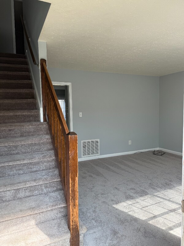 Foto del edificio - 31 Hobbs Ln