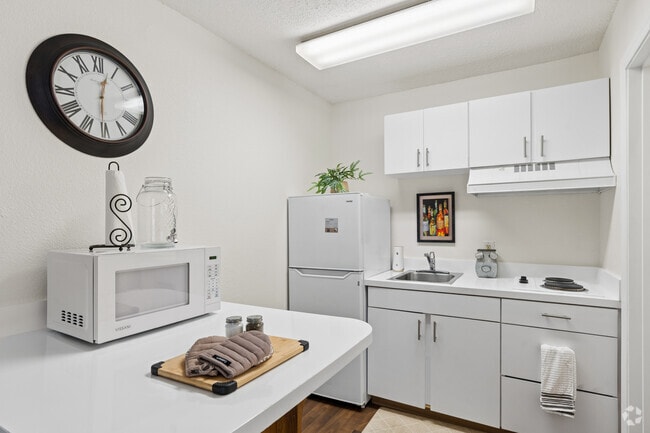 Studio - 254SF - Kitchen - Vivo Living Forest Hills
