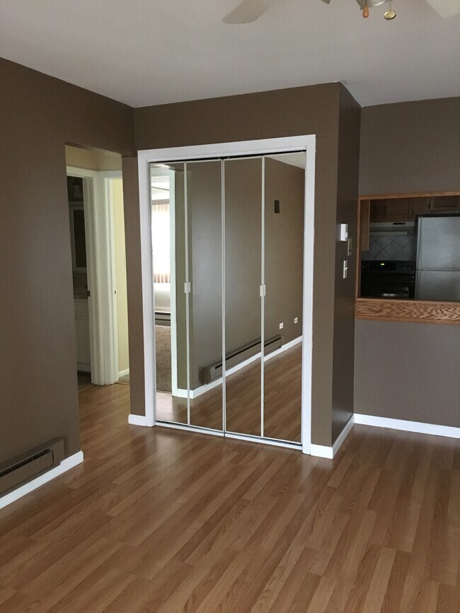 LR Closet - 672 Daisy Ln