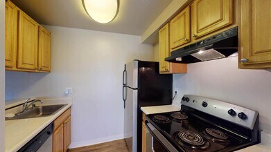Interior Photo - Marina Playa