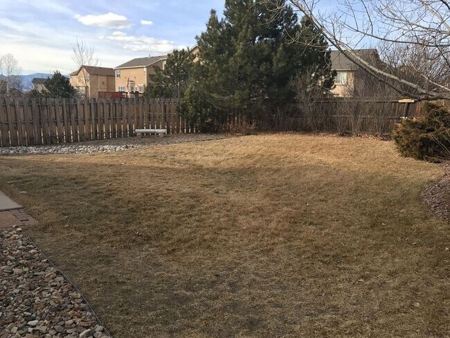Back yard 2 - 4982 Cherry Springs Dr