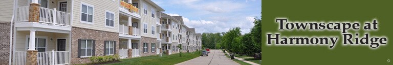 Townscape at Harmony Ridge