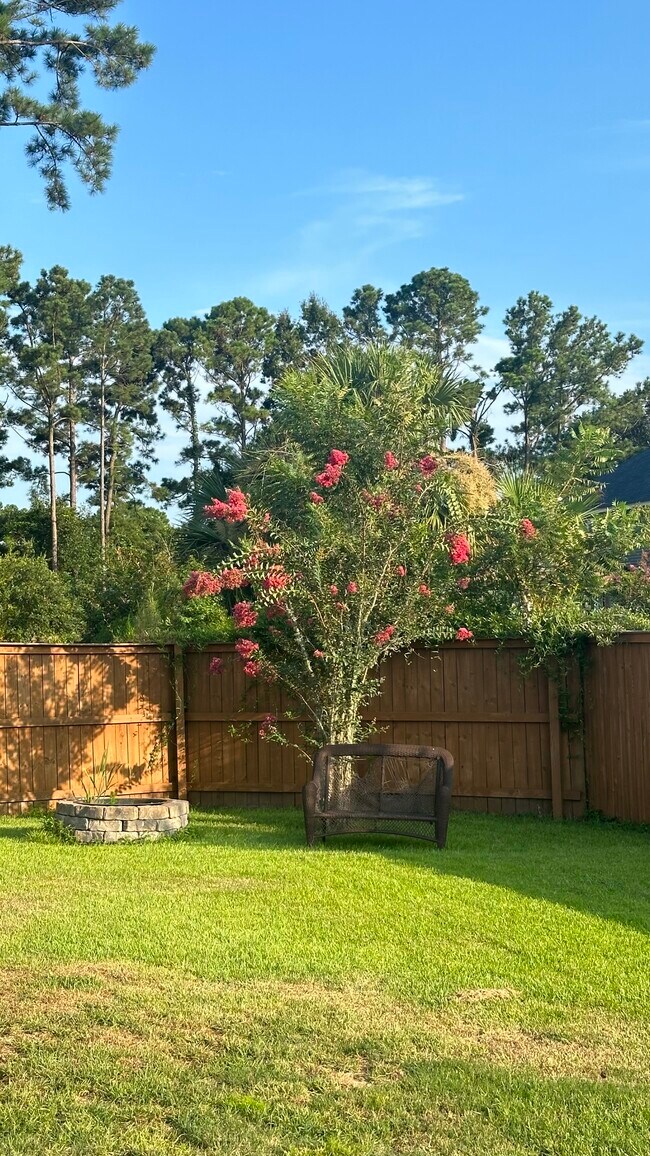 Backyard - 1250 Hammrick Ln