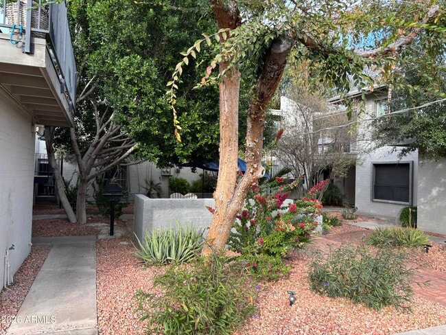 Foto del edificio - 4111 E Camelback Rd