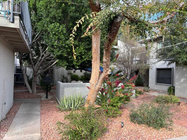 Building Photo - 4111 E Camelback Rd